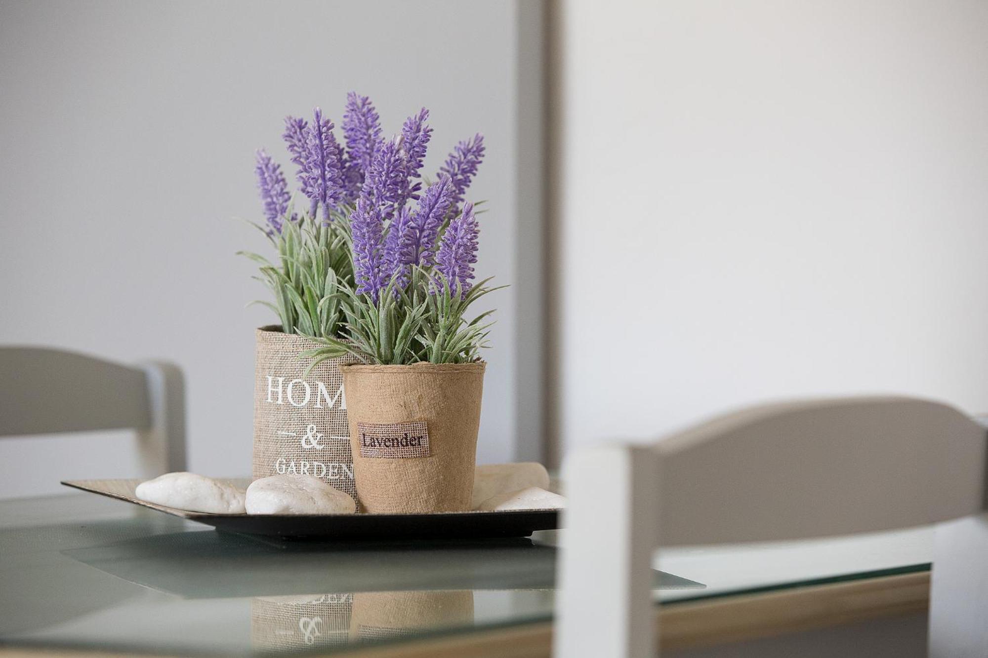 Elleana Corfu Appartement Agios Georgios  Buitenkant foto